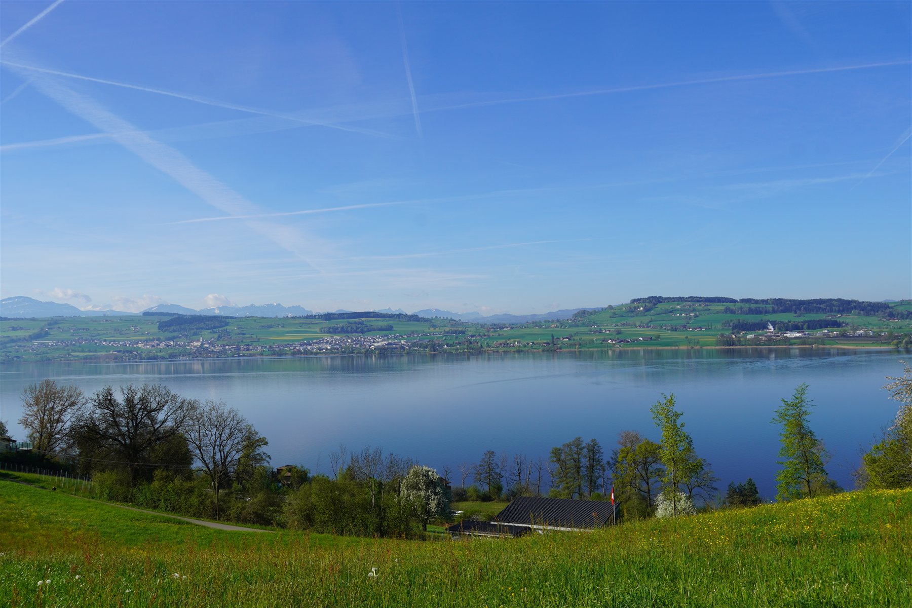 Weite Aussicht von Schenkon über den Sempachersee und die Voralpen